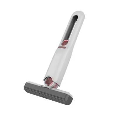 Cây Lau Mini Tự Vắt