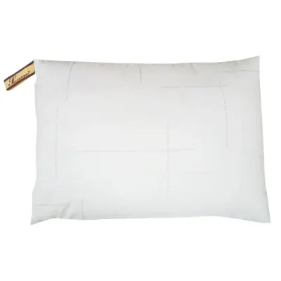 Ruột Gối Nằm Kháng Khuẩn 35x50cm