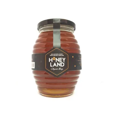 Mật Ong Hoa Rừng Honeyland 500g